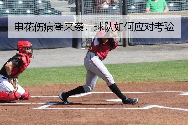 申花伤病潮来袭，球队如何应对考验